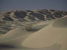 Arabien, Oman-Expeditionen - Sandwüste Rub al Khali
